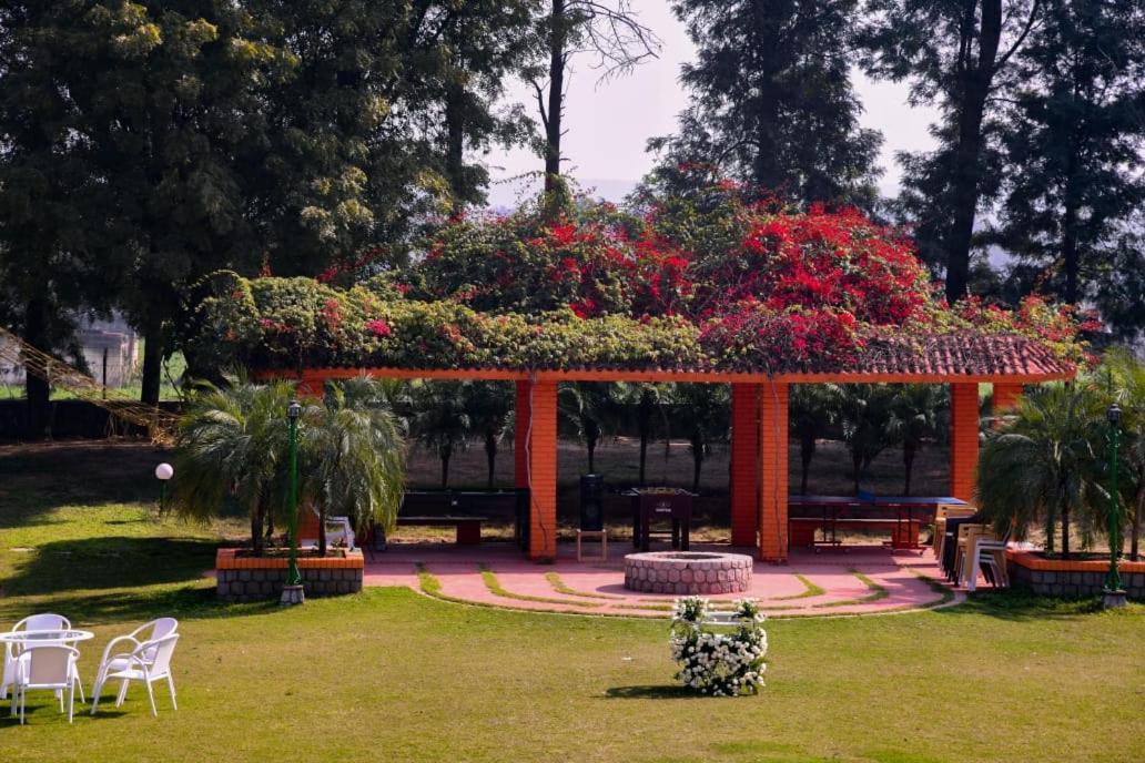 Green Orchid Farms I Swimming Pool I Wedding I Party Villa Gurgaon Exterior foto